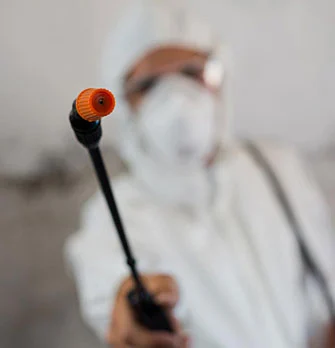 Cockroach Control Services ernakulam 