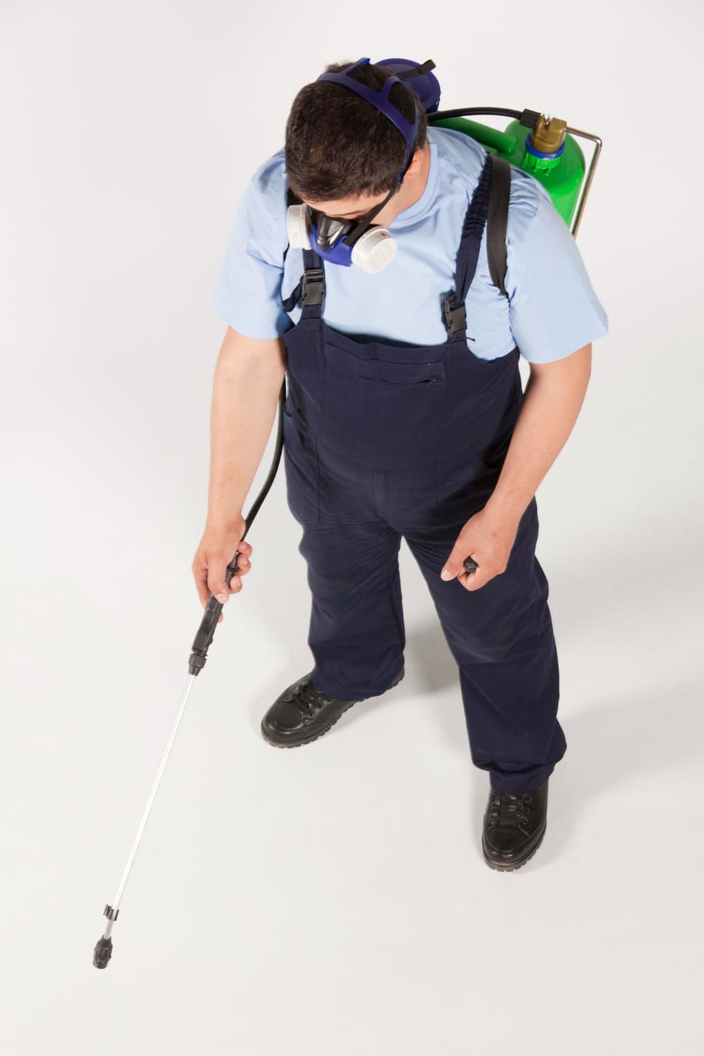 pest control in kerala