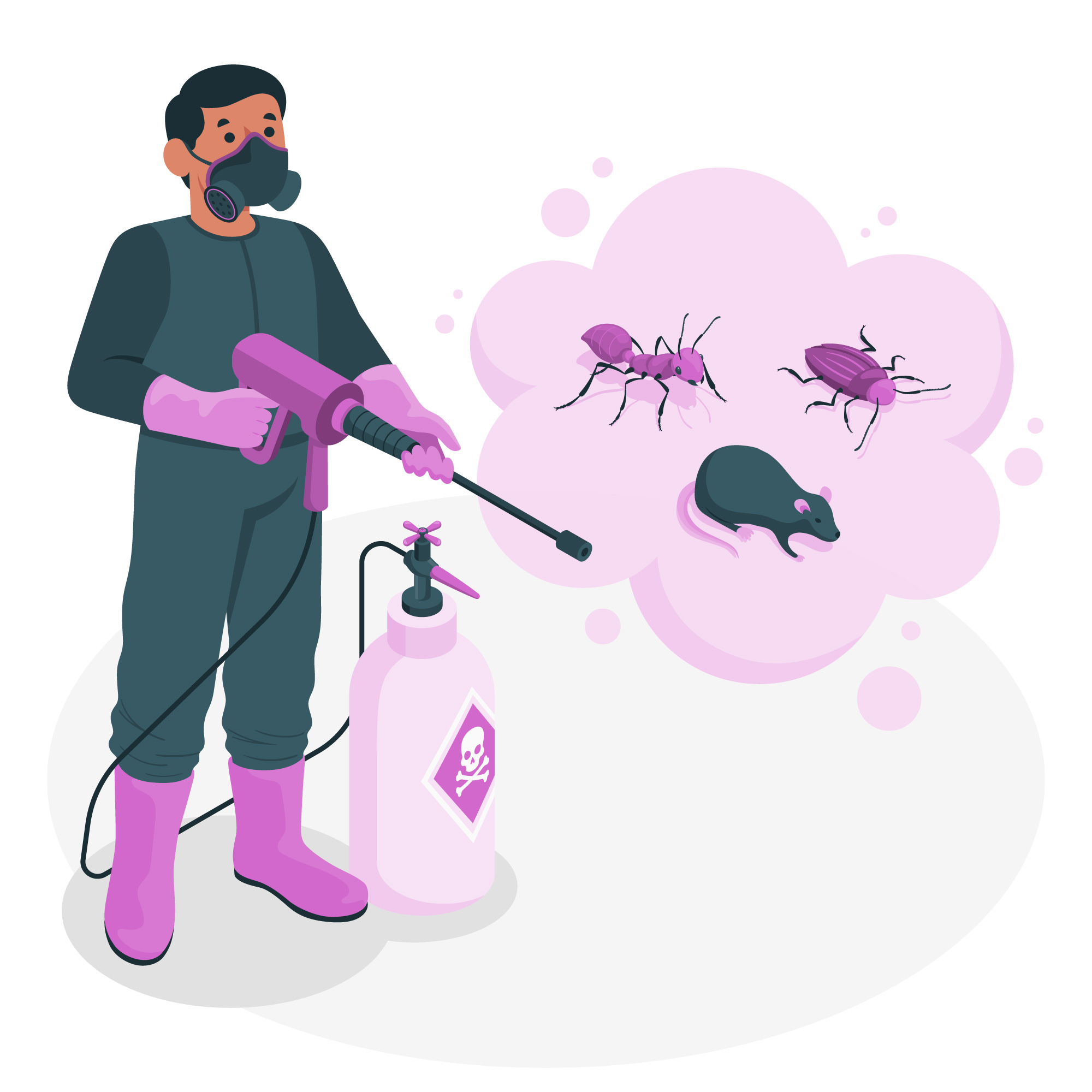 Why Professional Pest Control in Kochi Is a Must for Modern Homes