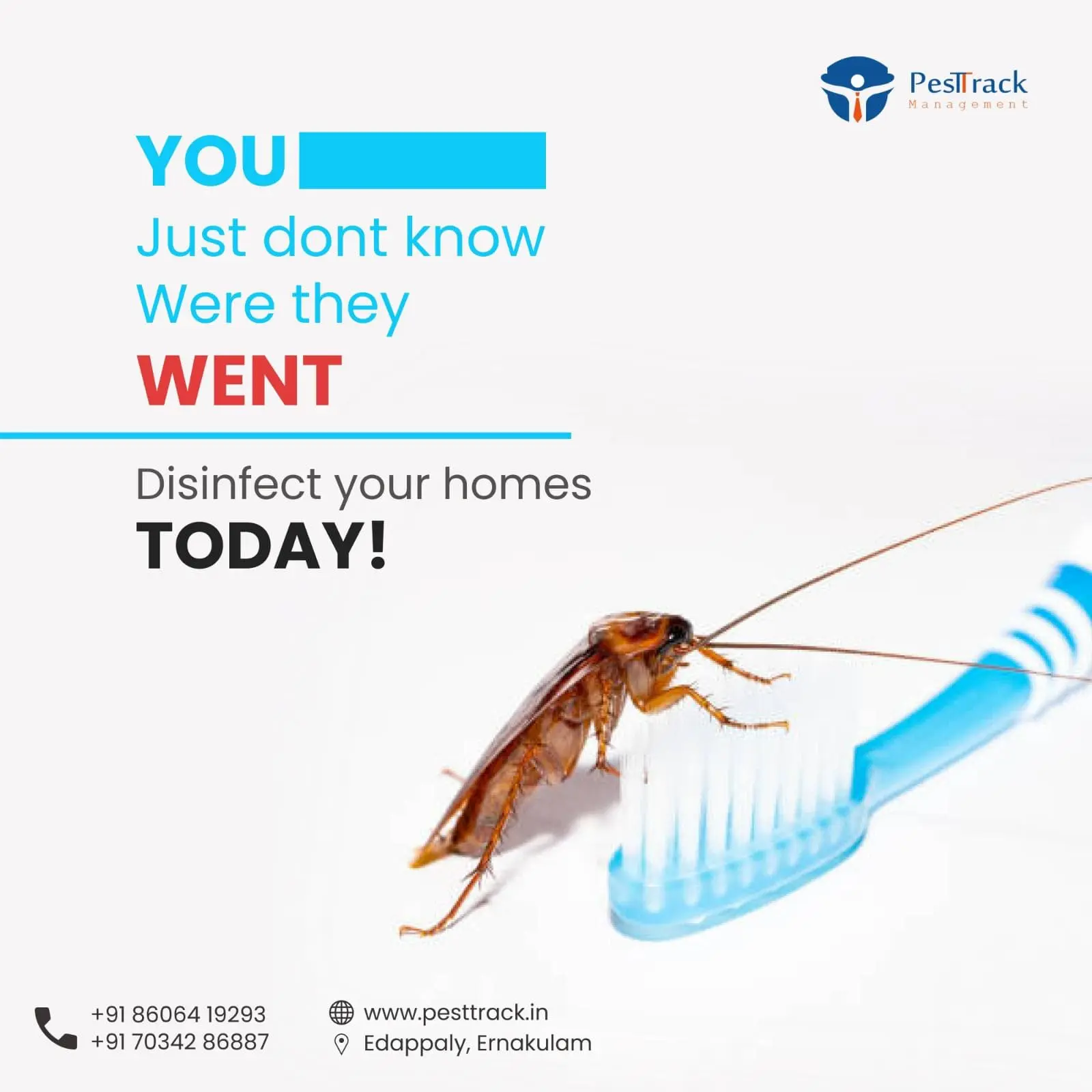 A description of COCKROACH CONTROL