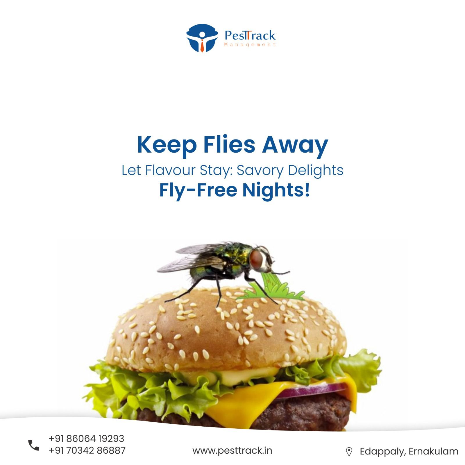 A description of COCKROACH CONTROL