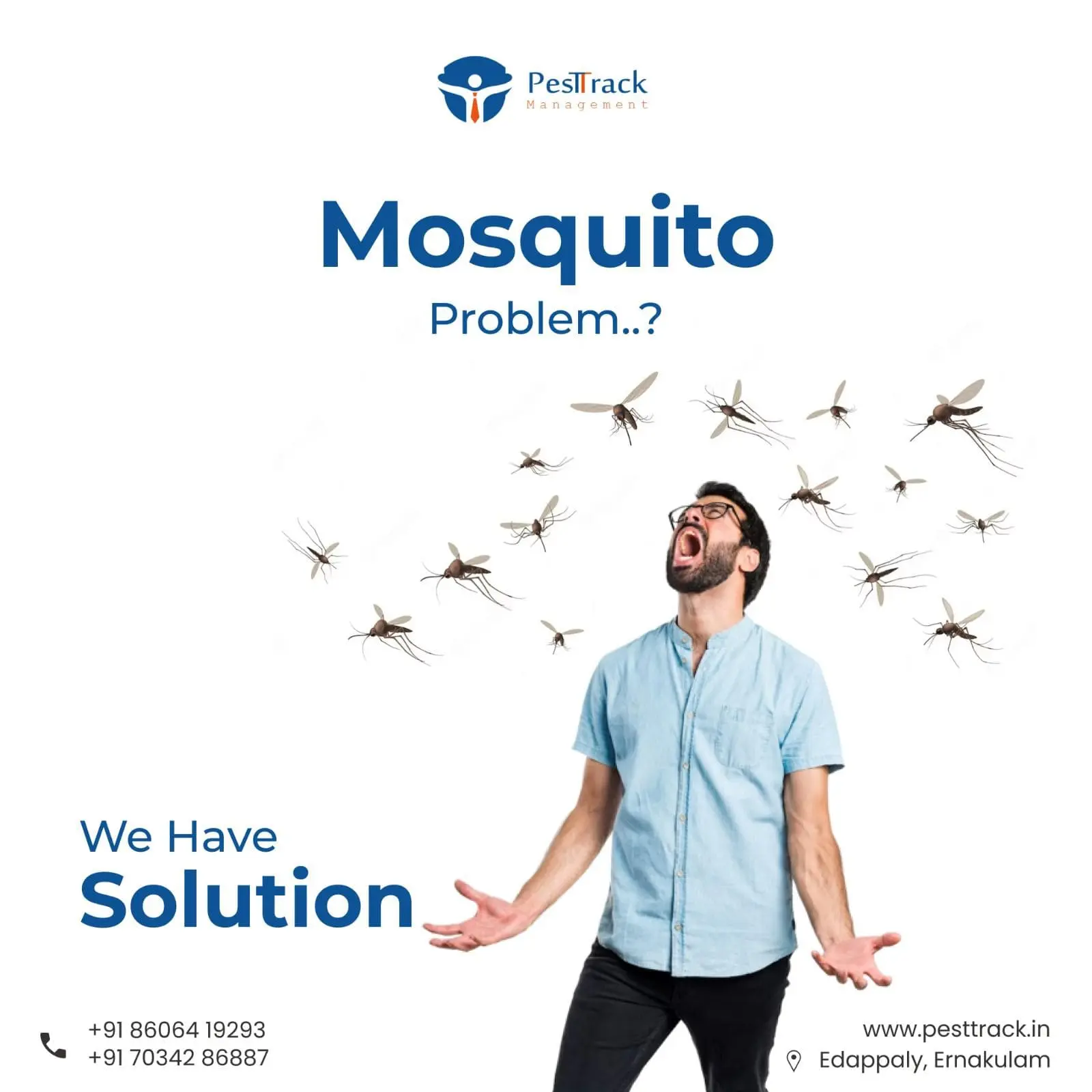 A description of COCKROACH CONTROL