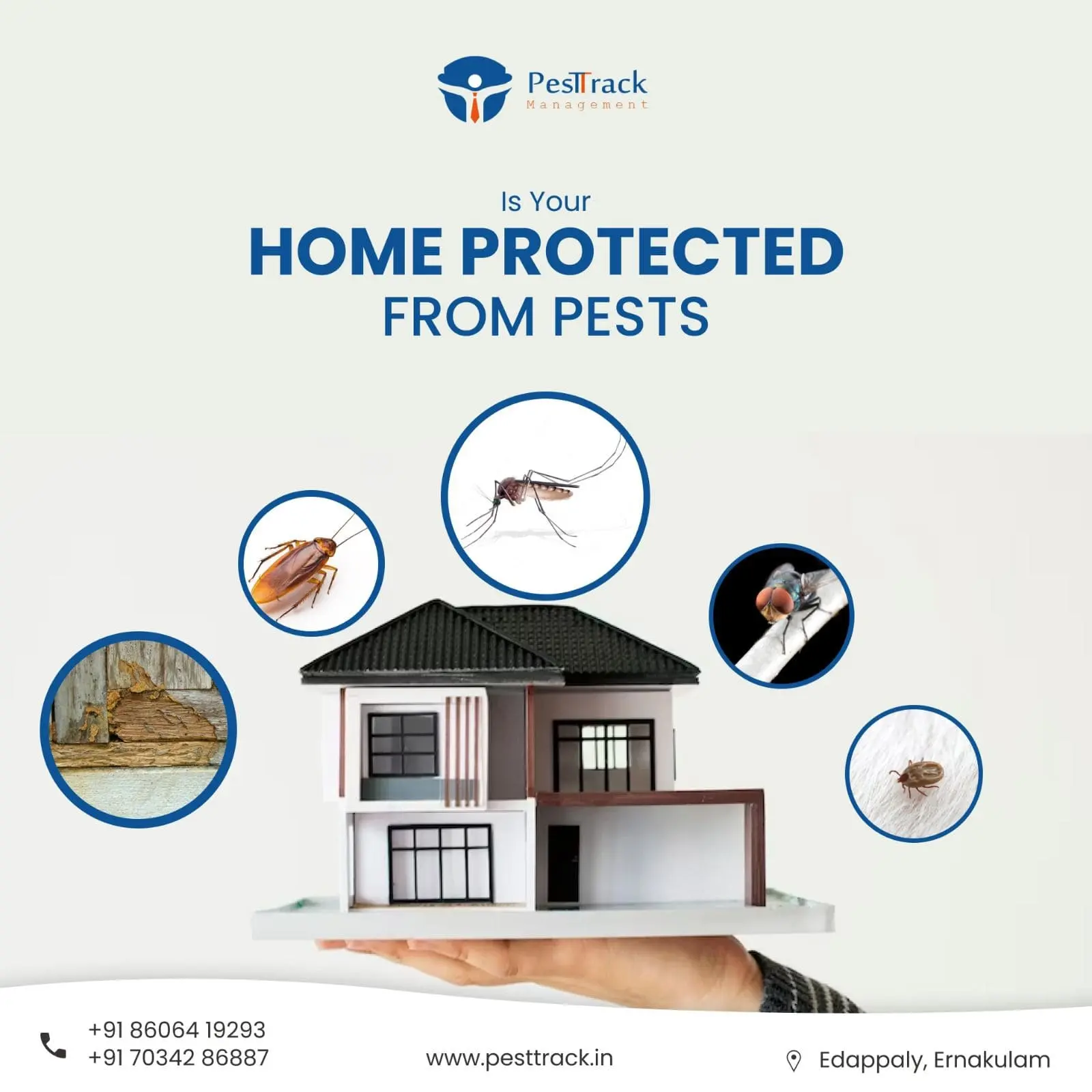 A description of COCKROACH CONTROL