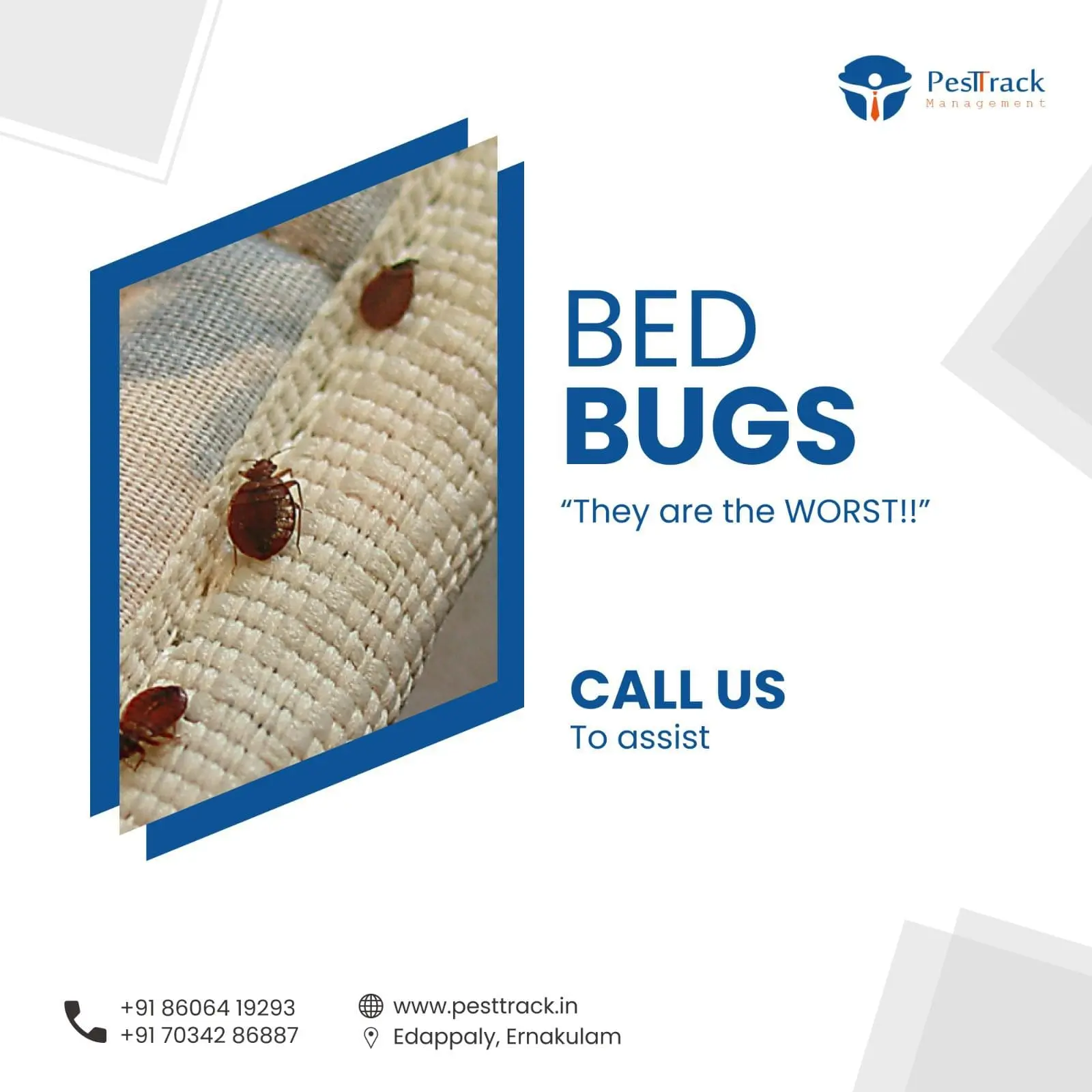 A description of COCKROACH CONTROL
