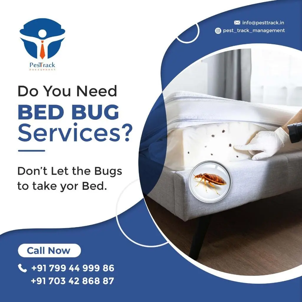 A description of BED BUD SERVICE