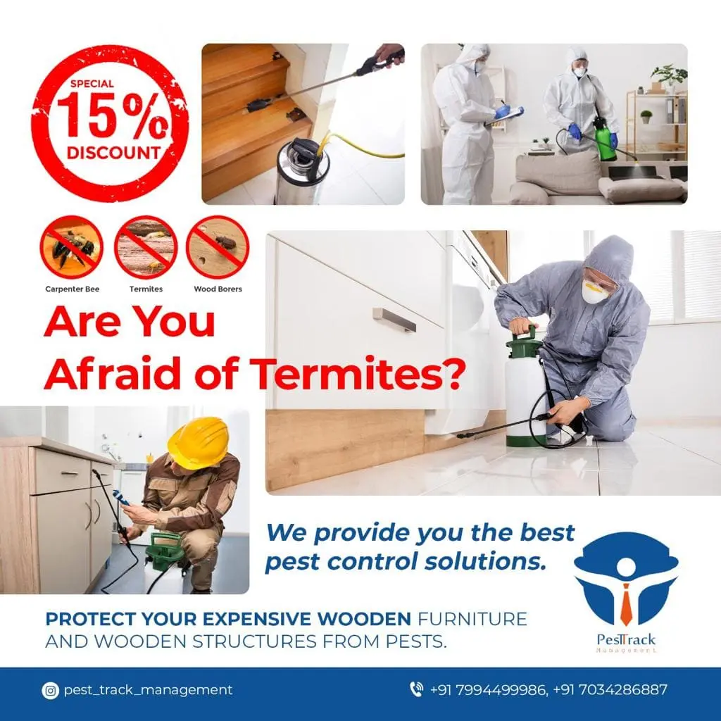 A description of TERMITES CONTROL